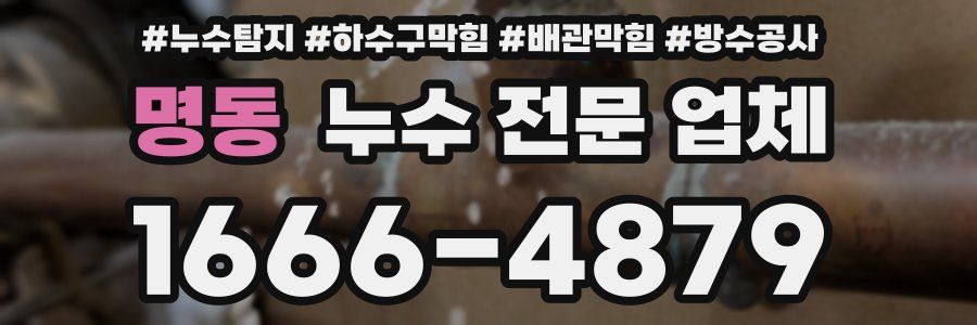 명동 누수 전문 업체