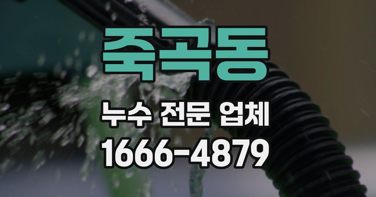 죽곡동 누수 전문 업체