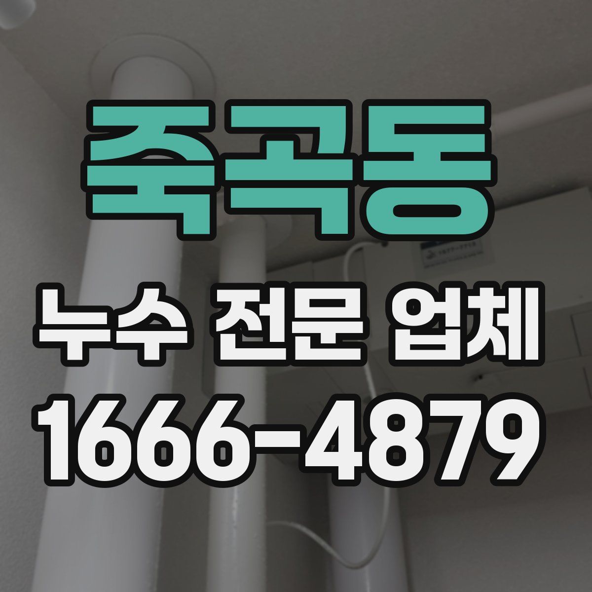 죽곡동 누수 전문 업체