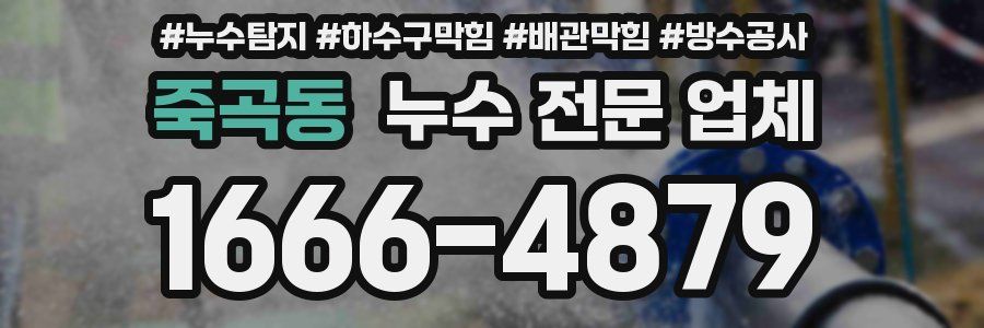 죽곡동 누수 전문 업체