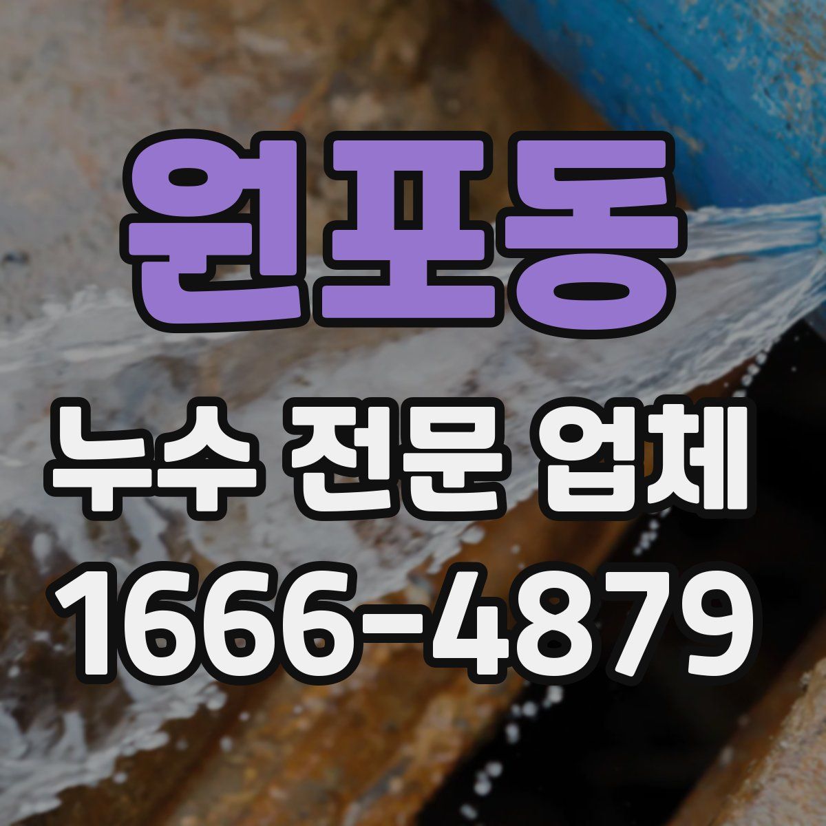 원포동 누수 전문 업체