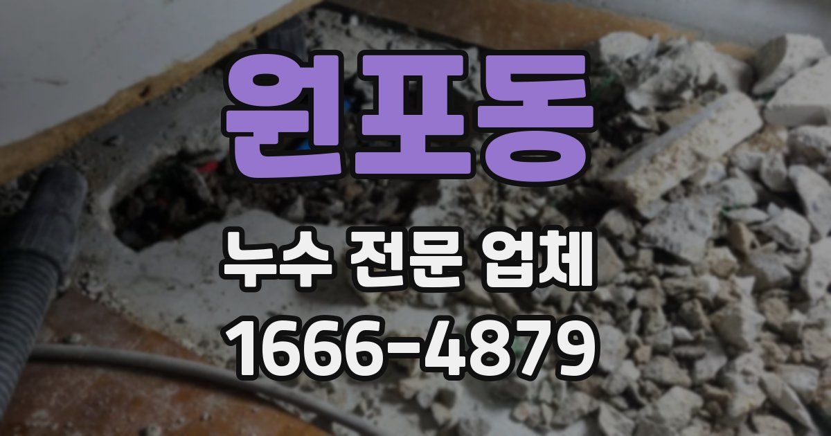 원포동 누수 전문 업체