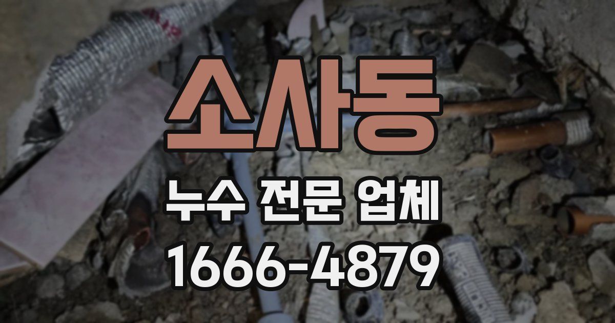소사동 누수 전문 업체