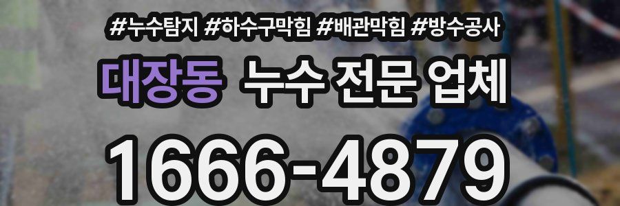 대장동 누수 전문 업체