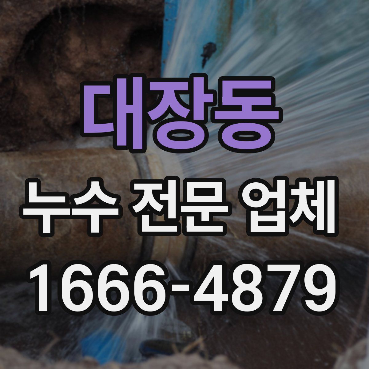 대장동 누수 전문 업체