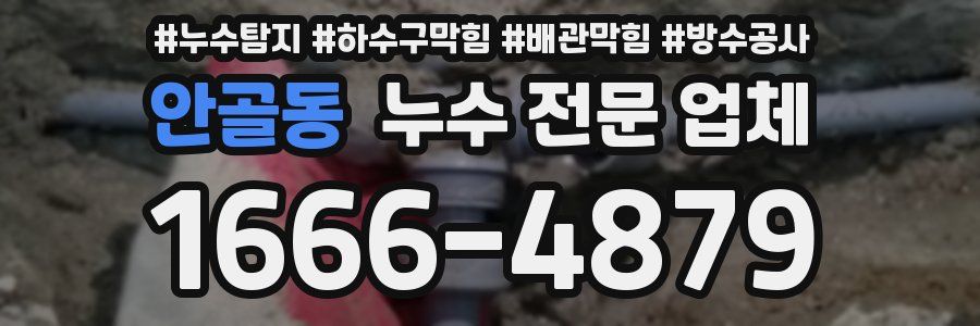 안골동 누수 전문 업체
