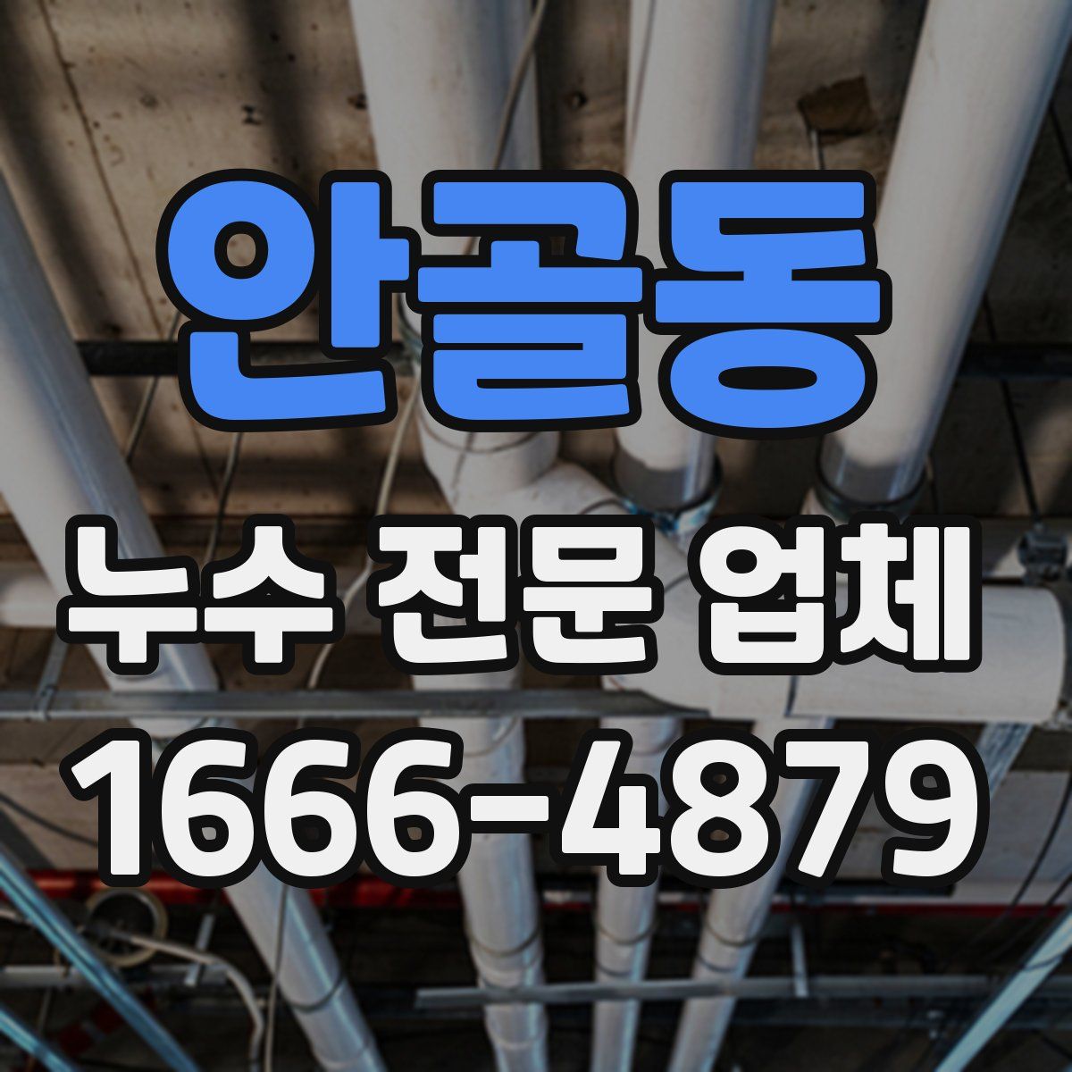 안골동 누수 전문 업체