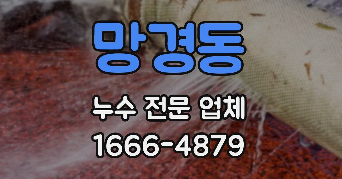 망경동 누수 전문 업체