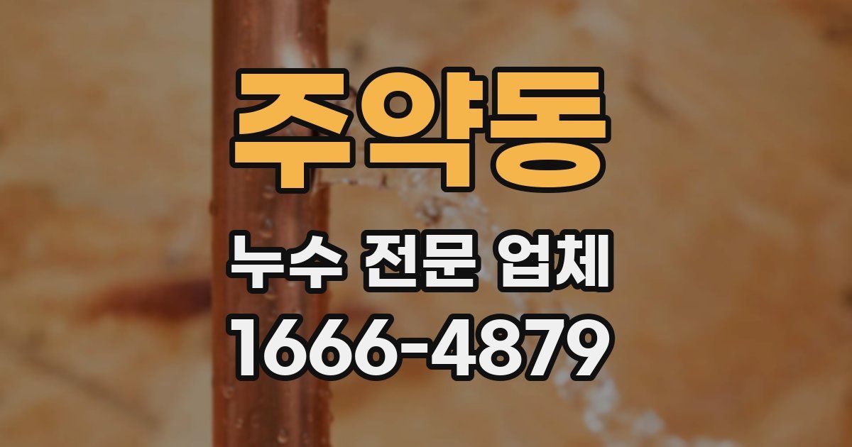 주약동 누수 전문 업체