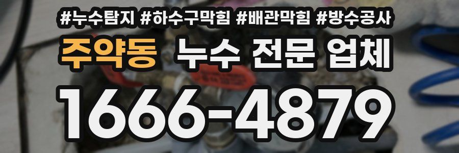 주약동 누수 전문 업체