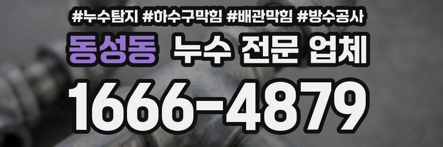 동성동 누수 전문 업체