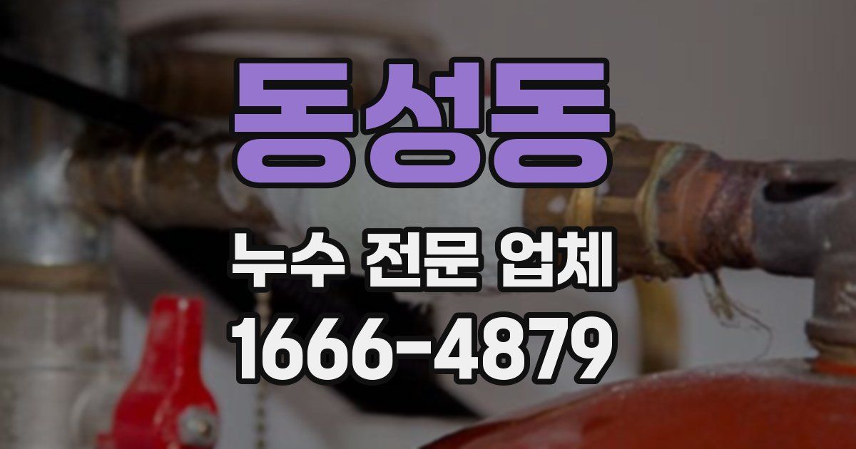 동성동 누수 전문 업체