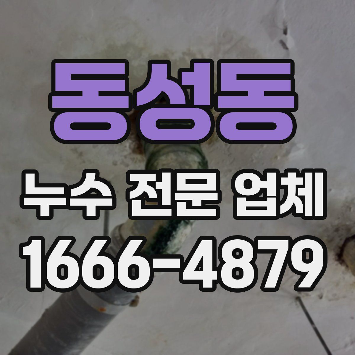 동성동 누수 전문 업체