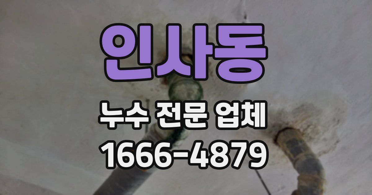 인사동 누수 전문 업체