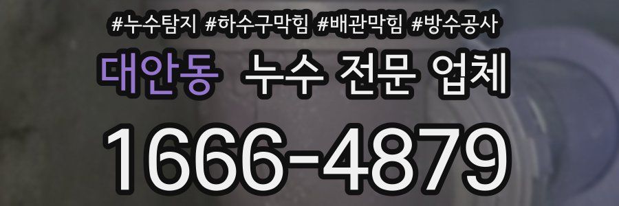 대안동 누수 전문 업체