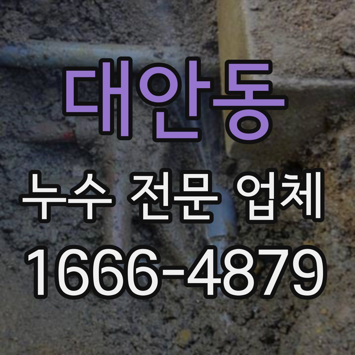 대안동 누수 전문 업체