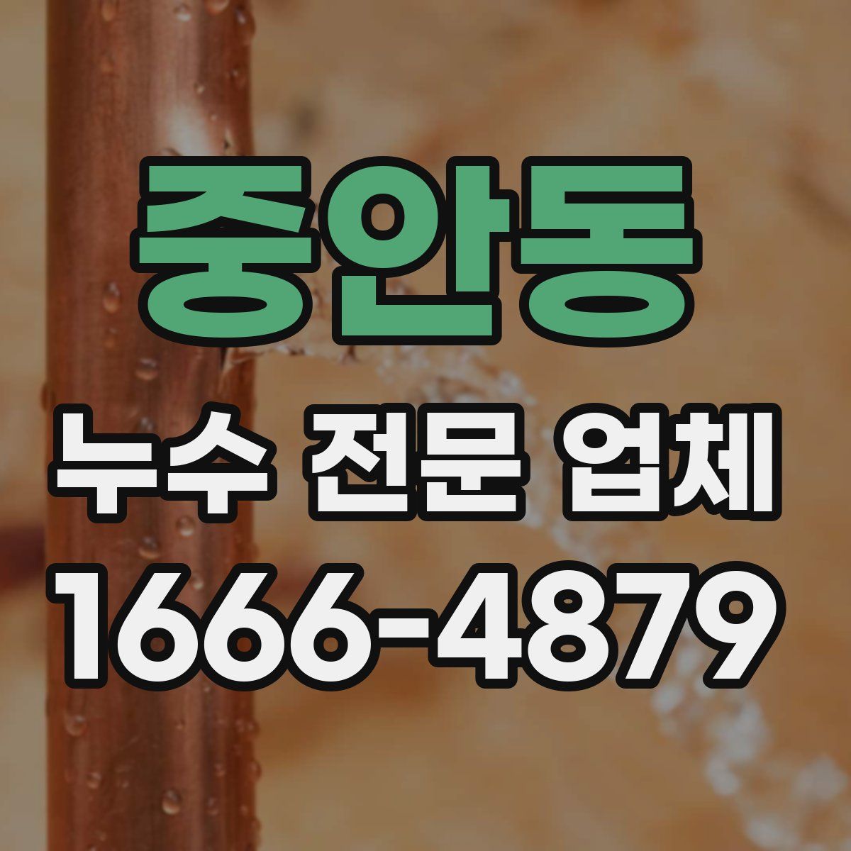 중안동 누수 전문 업체