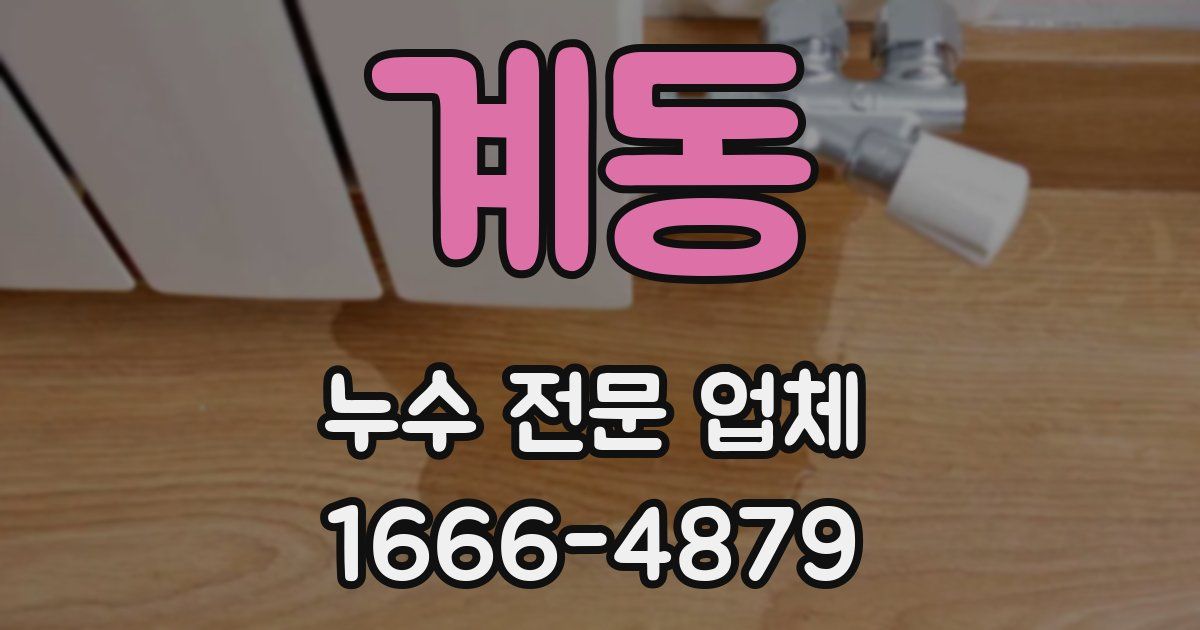 계동 누수 전문 업체