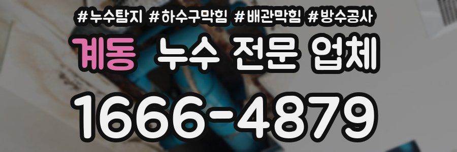 계동 누수 전문 업체