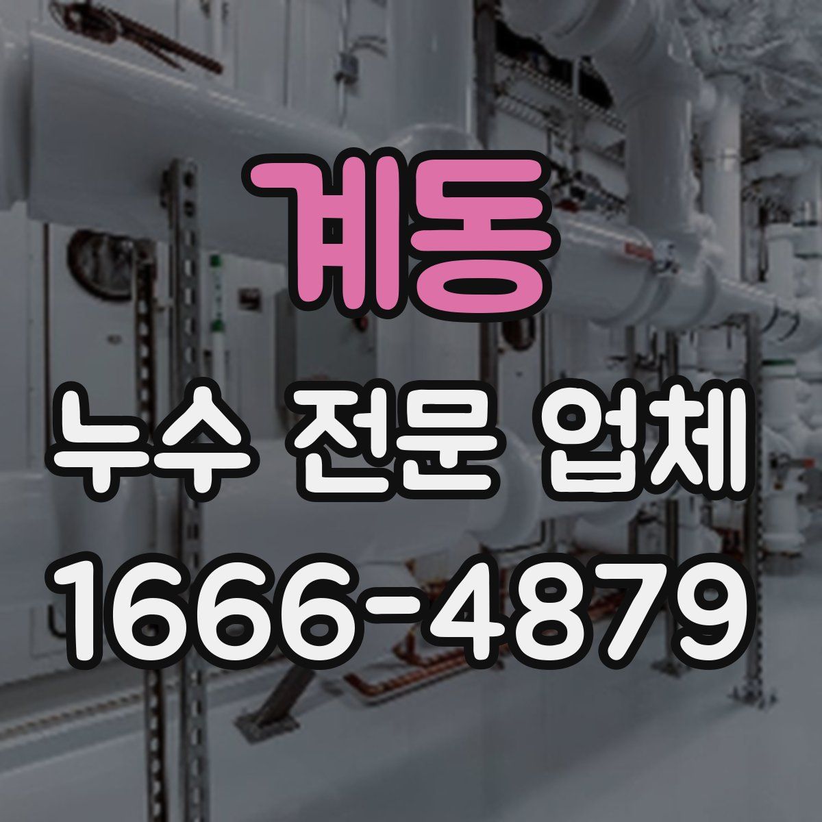 계동 누수 전문 업체