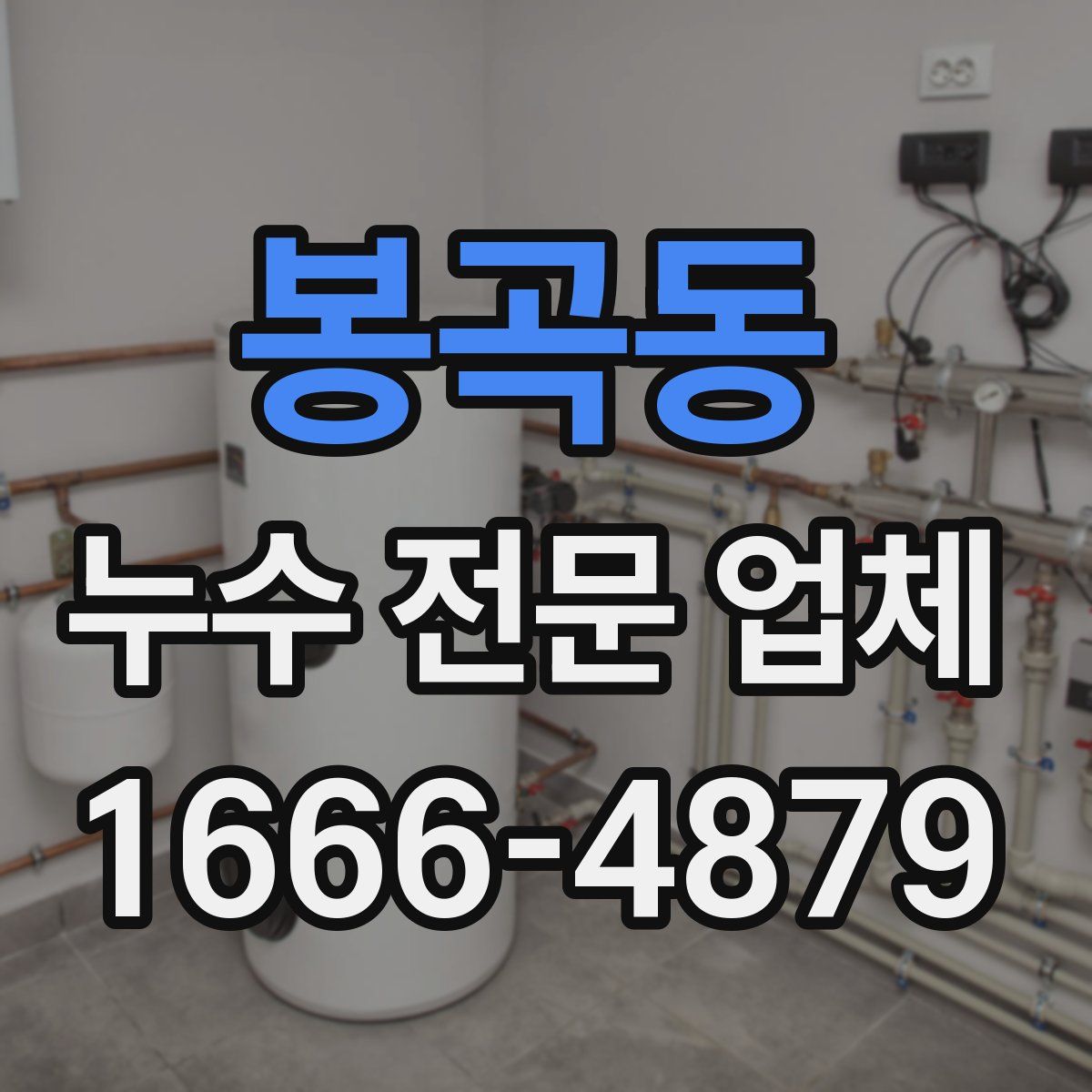 봉곡동 누수 전문 업체