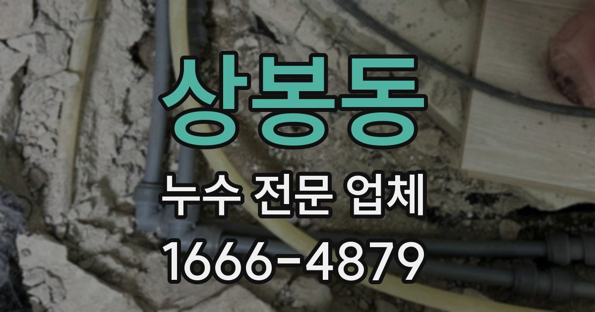 상봉동 누수 전문 업체