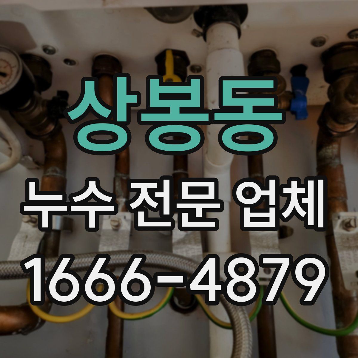 상봉동 누수 전문 업체