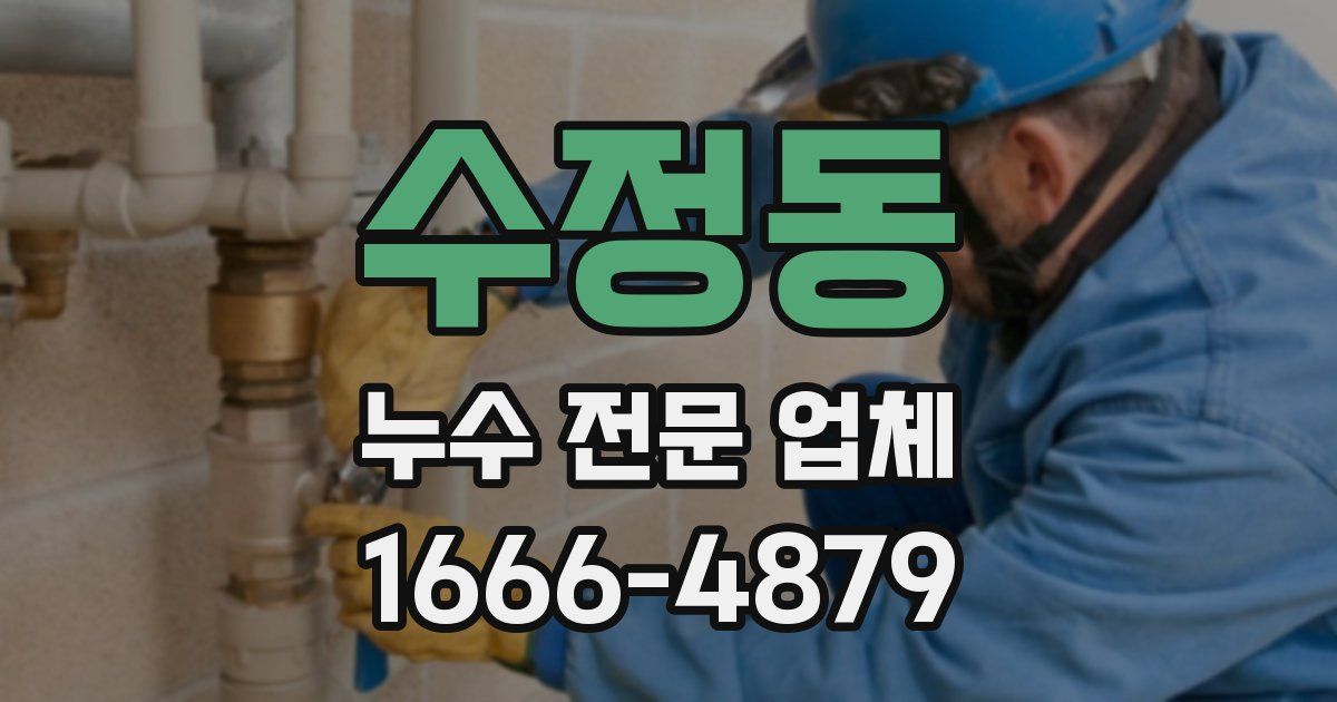 수정동 누수 전문 업체