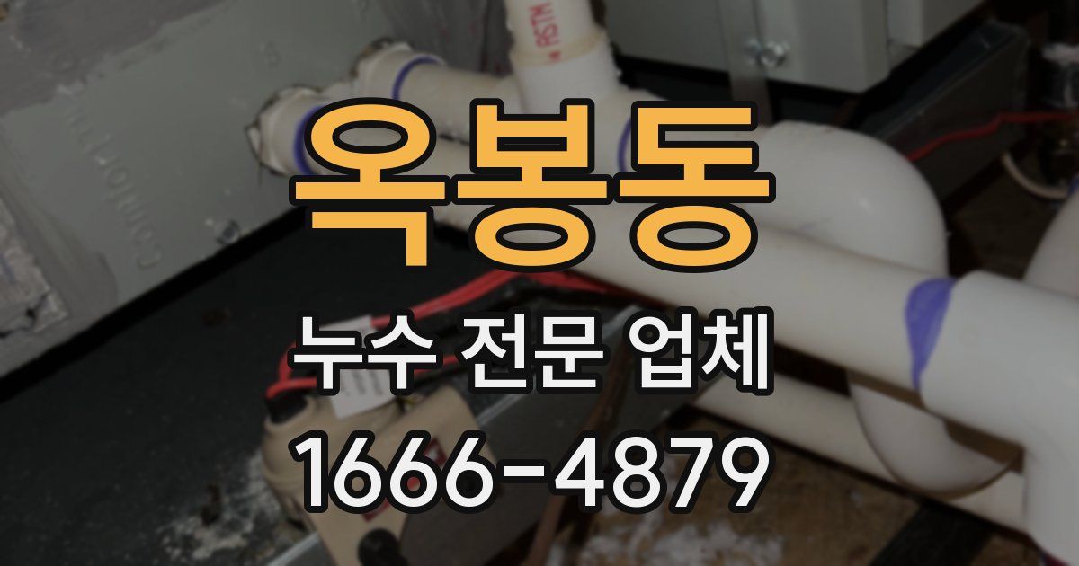 옥봉동 누수 전문 업체