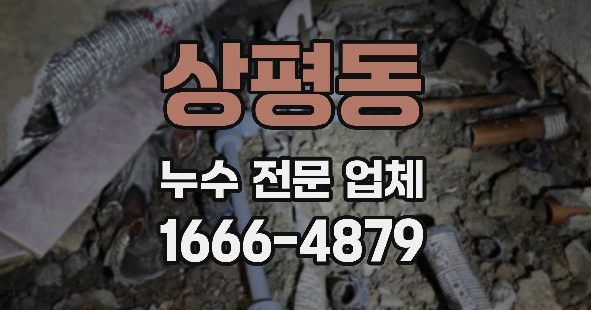 상평동 누수 전문 업체