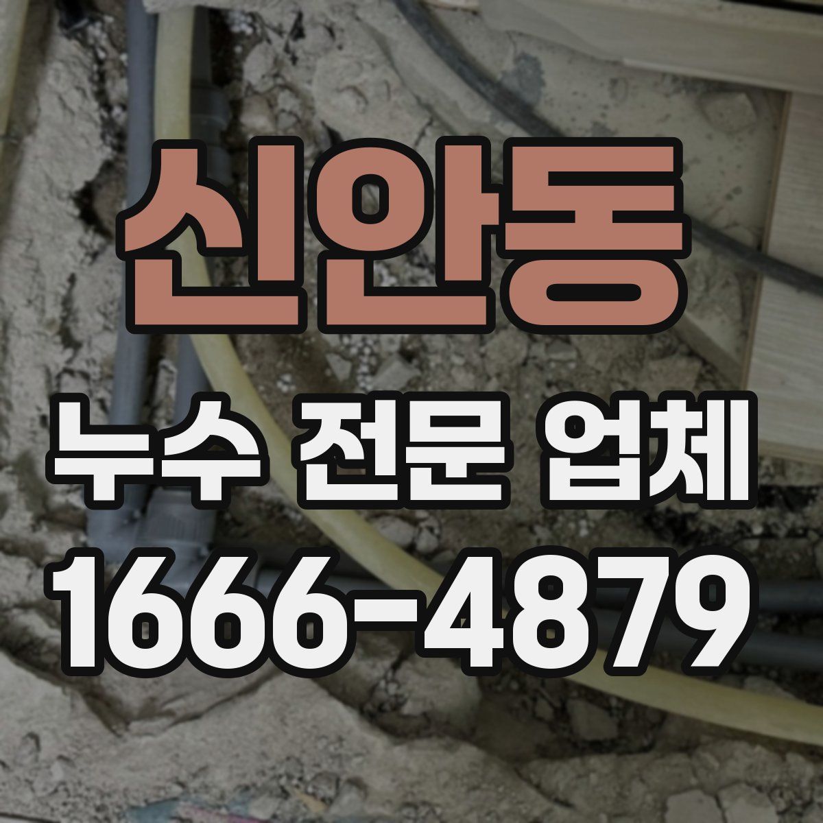 신안동 누수 전문 업체
