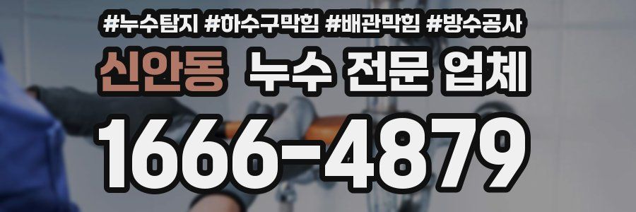 신안동 누수 전문 업체