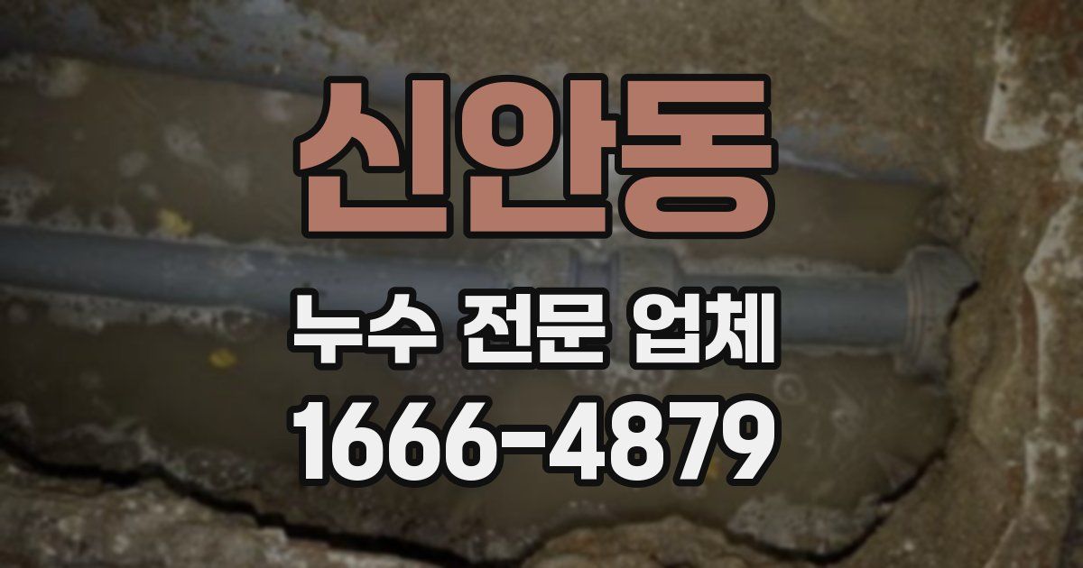 신안동 누수 전문 업체