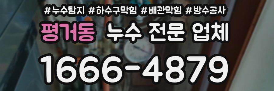 평거동 누수 전문 업체
