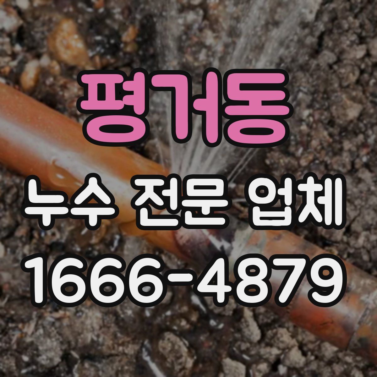 평거동 누수 전문 업체