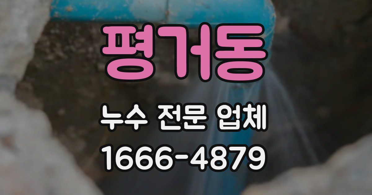 평거동 누수 전문 업체