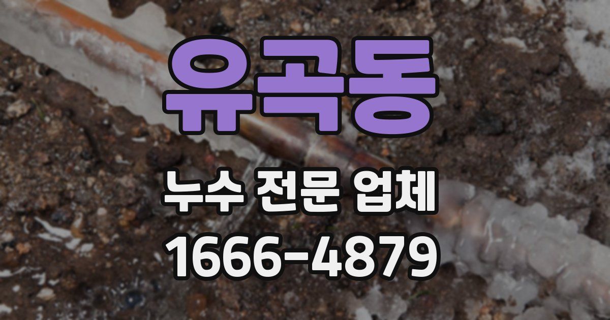 유곡동 누수 전문 업체