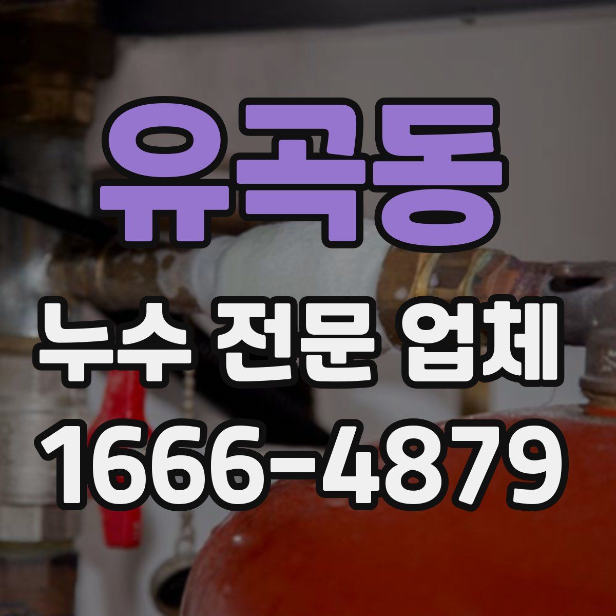 유곡동 누수 전문 업체