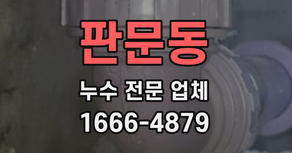 판문동 누수 전문 업체