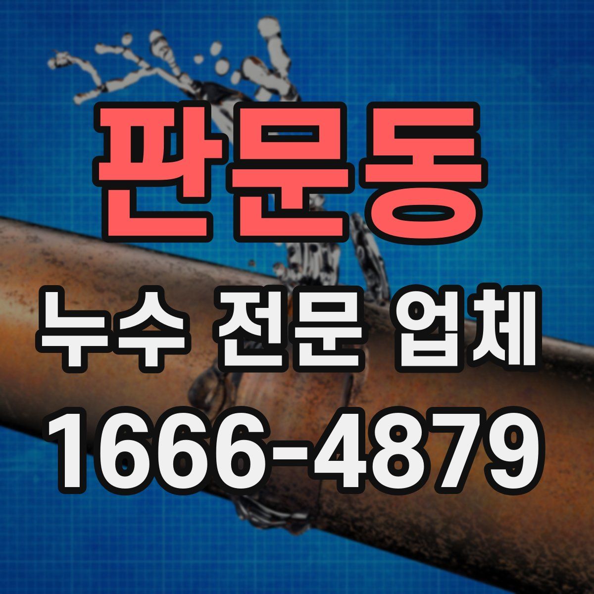 판문동 누수 전문 업체