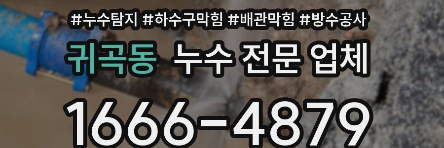 귀곡동 누수 전문 업체