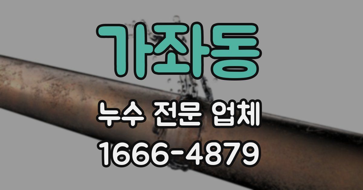 가좌동 누수 전문 업체