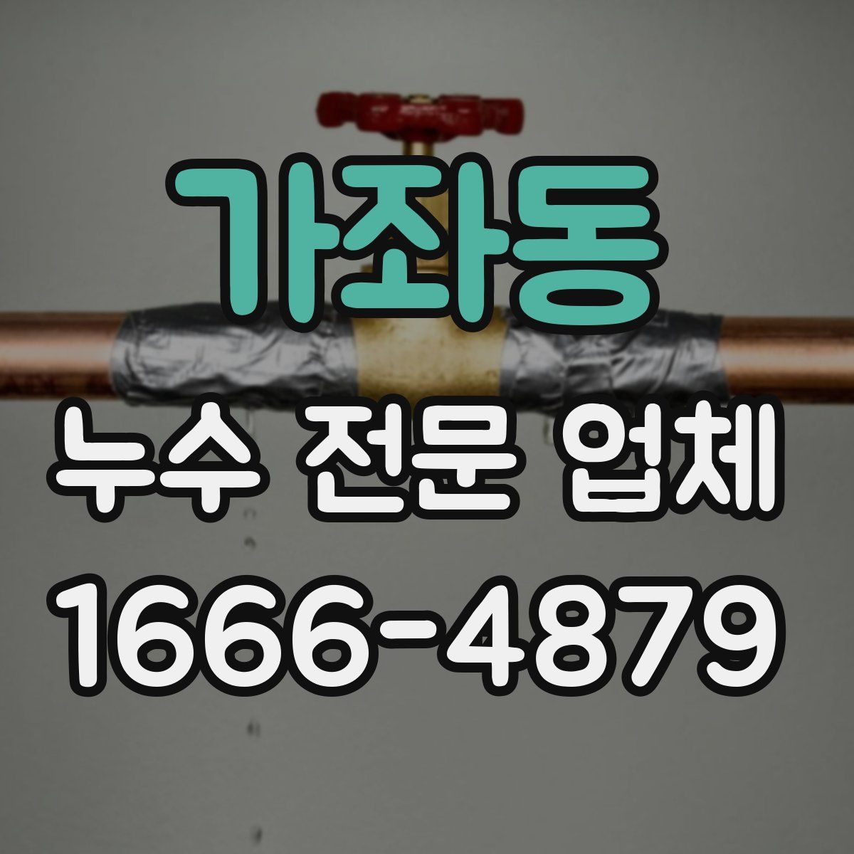 가좌동 누수 전문 업체