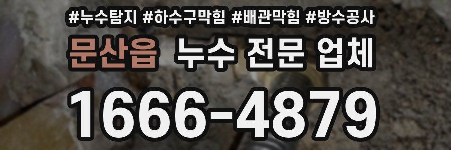 문산읍 누수 전문 업체