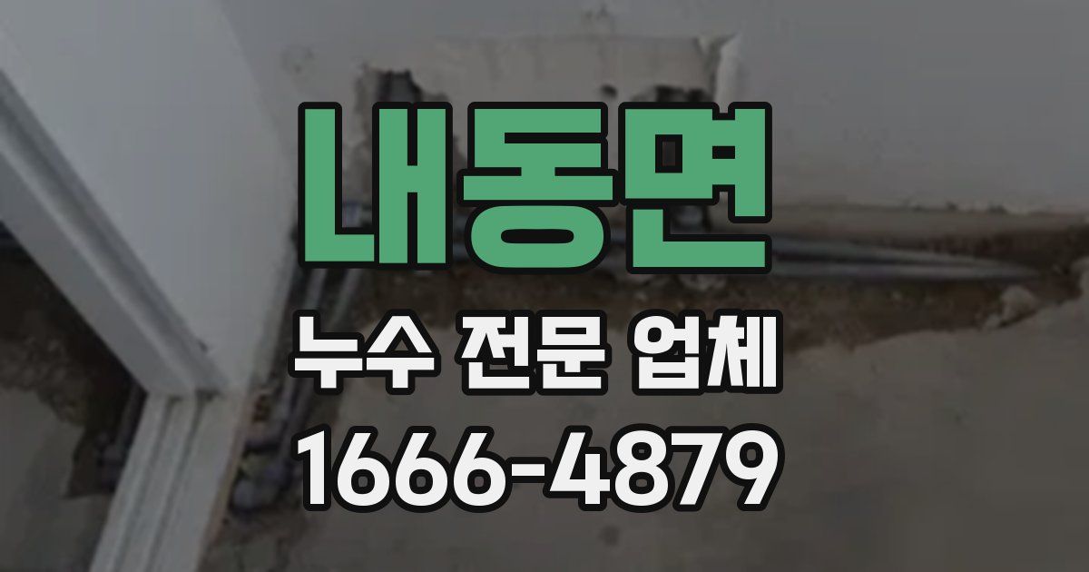 내동면 누수 전문 업체