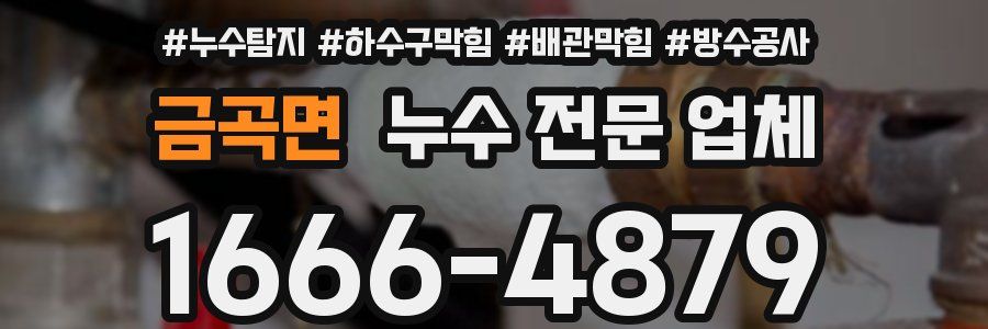 금곡면 누수 전문 업체