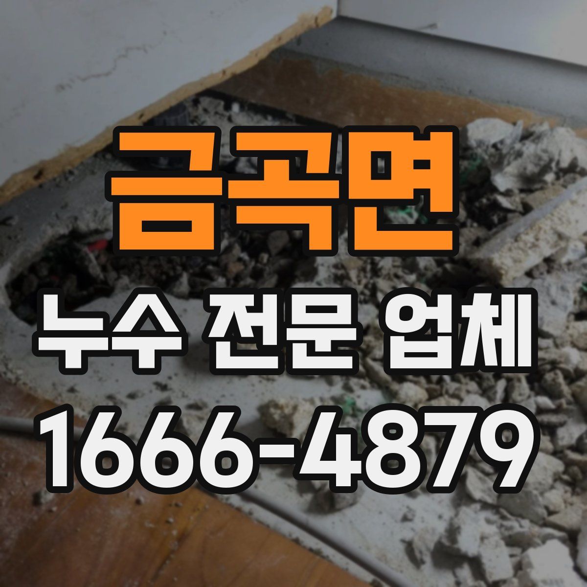 금곡면 누수 전문 업체