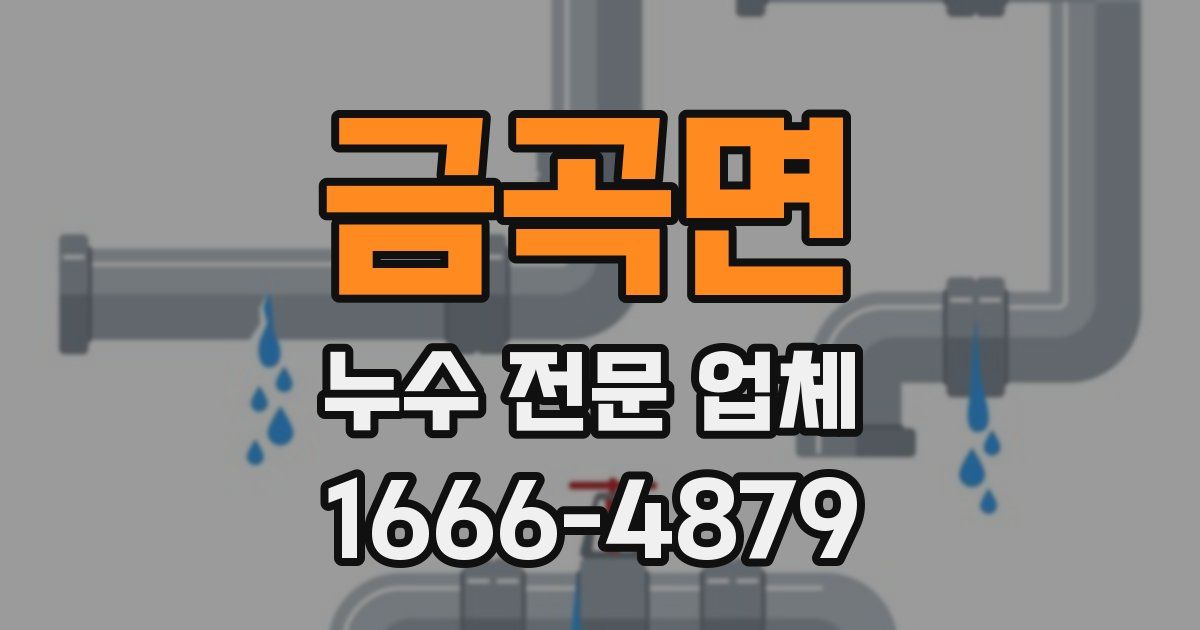 금곡면 누수 전문 업체
