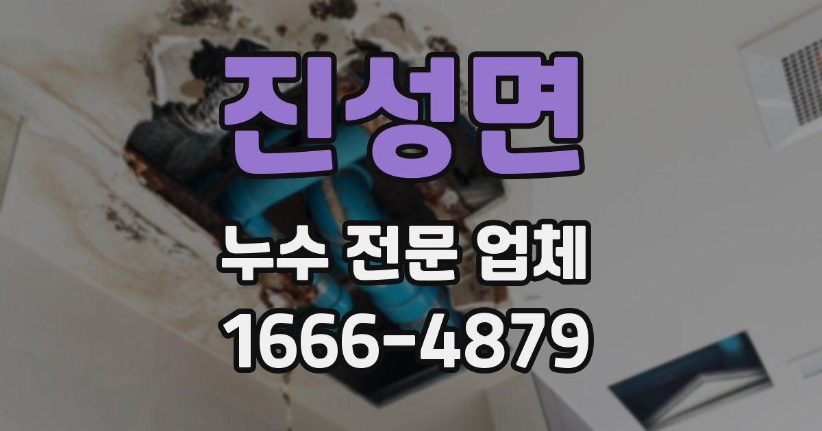진성면 누수 전문 업체