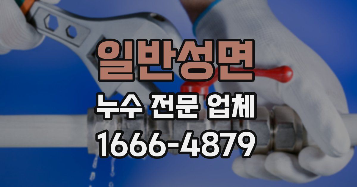 일반성면 누수 전문 업체